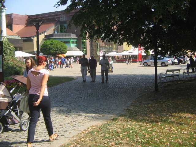 finnek 2011 044